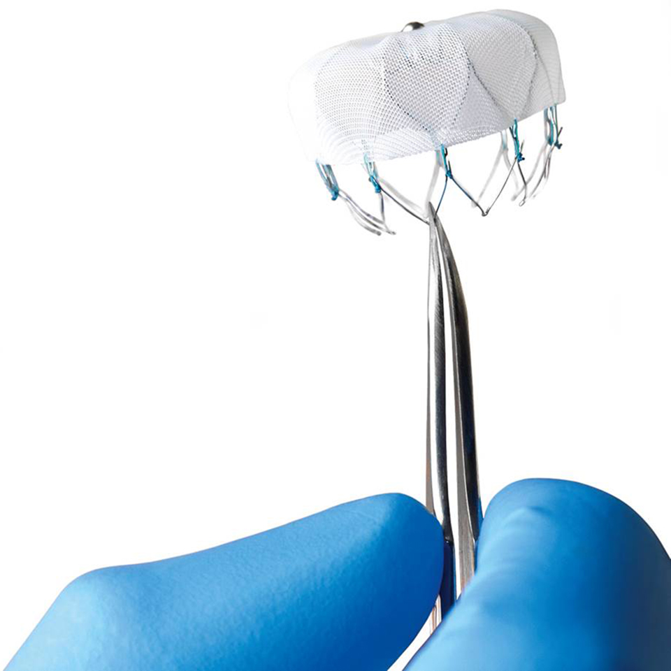 WATCHMAN™ Left Atrial Appendage Closure Device Warfarin Therapy